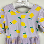 Load image into Gallery viewer, Hanna Andersson Print Tulle Skater Dress Lemon Squeeze Orchid Hush 110 cm 5T
