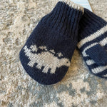 Load image into Gallery viewer, JoJo Maman Bebe Navy Dinosaur Hat &amp; Mittens Set 0-12 Months NWT
