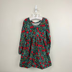Load image into Gallery viewer, Hanna Andersson Long Sleeve Skater Dress with Pockets Poinsettia Patch 110 cm 5T
