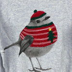 Load image into Gallery viewer, Mini Boden Superstich Holiday Bird Applique T-Shirt 9-10
