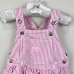 Load image into Gallery viewer, Vintage OshKosh B'gosh Pink Stripe Jumper Skirtall 12 Months
