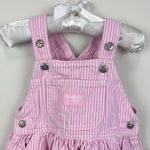 Load image into Gallery viewer, Vintage OshKosh B'gosh Pink Stripe Jumper Skirtall 12 Months
