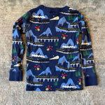 Load image into Gallery viewer, Hanna Andersson Polar Express Holiday Long John Pajamas 100 cm 4T
