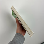 Load image into Gallery viewer, Stink and the World's Worst Super-Stinky Sneakers Chapter Book #3
