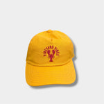 Load image into Gallery viewer, Vineyard Vines Boys' Lobster 5-Panel Hat Orange Blossom NWOT
