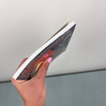 Load image into Gallery viewer, I Survived the Destruction of Pompeii, 79 AD Chapter Book Lauren Tarshis
