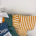 Load image into Gallery viewer, JoJo Maman Bebe Khaki Diplodocus 2-Piece Appliqué Dungarees &amp; T-Shirt Set 3-6 Months NWT
