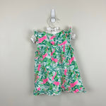 Load image into Gallery viewer, Lilly Pulitzer Girls Cecily Infant Dress Botanical Green Just Wing It 18-24 Months
