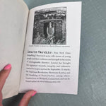 Load image into Gallery viewer, I Survived the Children's Blizzard, 1888 Chapter Book Lauren Tarshis
