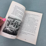 Load image into Gallery viewer, I Survived the Children's Blizzard, 1888 Chapter Book Lauren Tarshis
