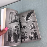 Load image into Gallery viewer, I Survived the Attack of the Grizzlies, 1967 Chapter Book Lauren Tarshis
