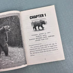 Load image into Gallery viewer, I Survived the Attack of the Grizzlies, 1967 Chapter Book Lauren Tarshis
