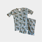 Load image into Gallery viewer, Hanna Andersson Gray Iguana HannaJams Short John Pajama Set 140 cm 10
