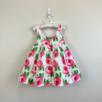 Load image into Gallery viewer, Janie and Jack Textured Rose Dress 18-24 Months
