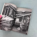 Load image into Gallery viewer, I Survived the Children's Blizzard, 1888 Chapter Book Lauren Tarshis
