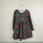 Load image into Gallery viewer, Hanna Andersson Long Sleeve Skater Dress with Pockets Poinsettia Patch 110 cm 5T
