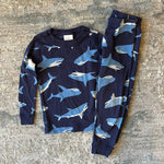 Load image into Gallery viewer, Hanna Andersson Blue Shark Long John Pajamas 90 cm 3T
