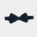 Load image into Gallery viewer, The Beaufort Bonnet Company Baylor Bowtie Fall Party Plaid
