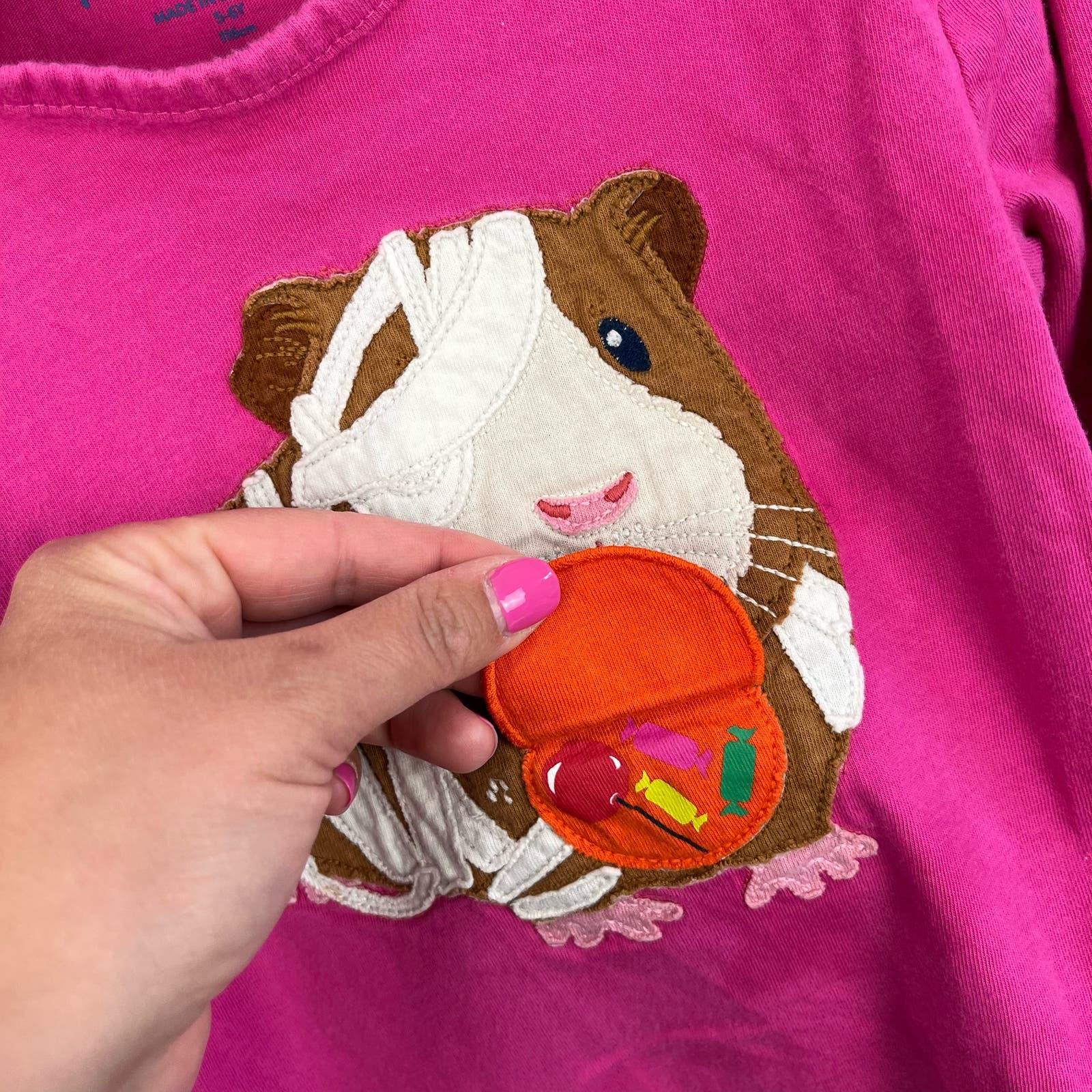 Mini Boden Halloween Appliqué T-shirt Tickled Pink Guinea Pig 5-6