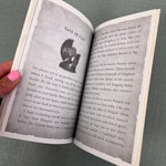 Load image into Gallery viewer, I Survived the Destruction of Pompeii, 79 AD Chapter Book Lauren Tarshis
