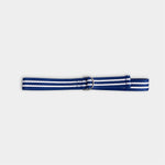 Load image into Gallery viewer, Ralph Lauren Blue and White Striped Canvas Belt 5T
