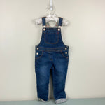 Load image into Gallery viewer, Mini Boden Floral Lined Denim Dungarees 2-3
