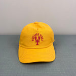 Load image into Gallery viewer, Vineyard Vines Boys' Lobster 5-Panel Hat Orange Blossom NWOT
