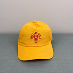 Load image into Gallery viewer, Vineyard Vines Boys' Lobster 5-Panel Hat Orange Blossom NWOT
