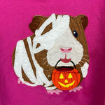 Load image into Gallery viewer, Mini Boden Halloween Appliqué T-shirt Tickled Pink Guinea Pig 5-6

