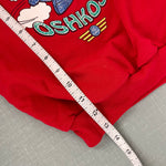 Load image into Gallery viewer, Vintage OshKosh B'gosh Red Pudgy Plane Teddy Bear Sweatshirt 2T
