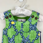 Load image into Gallery viewer, Classic Prep Childrenswear James Shortall Frog Price Green 3-6 Months NWT
