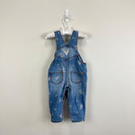 Load image into Gallery viewer, OshKosh B'gosh Blue Floral Overalls 6-9 Months
