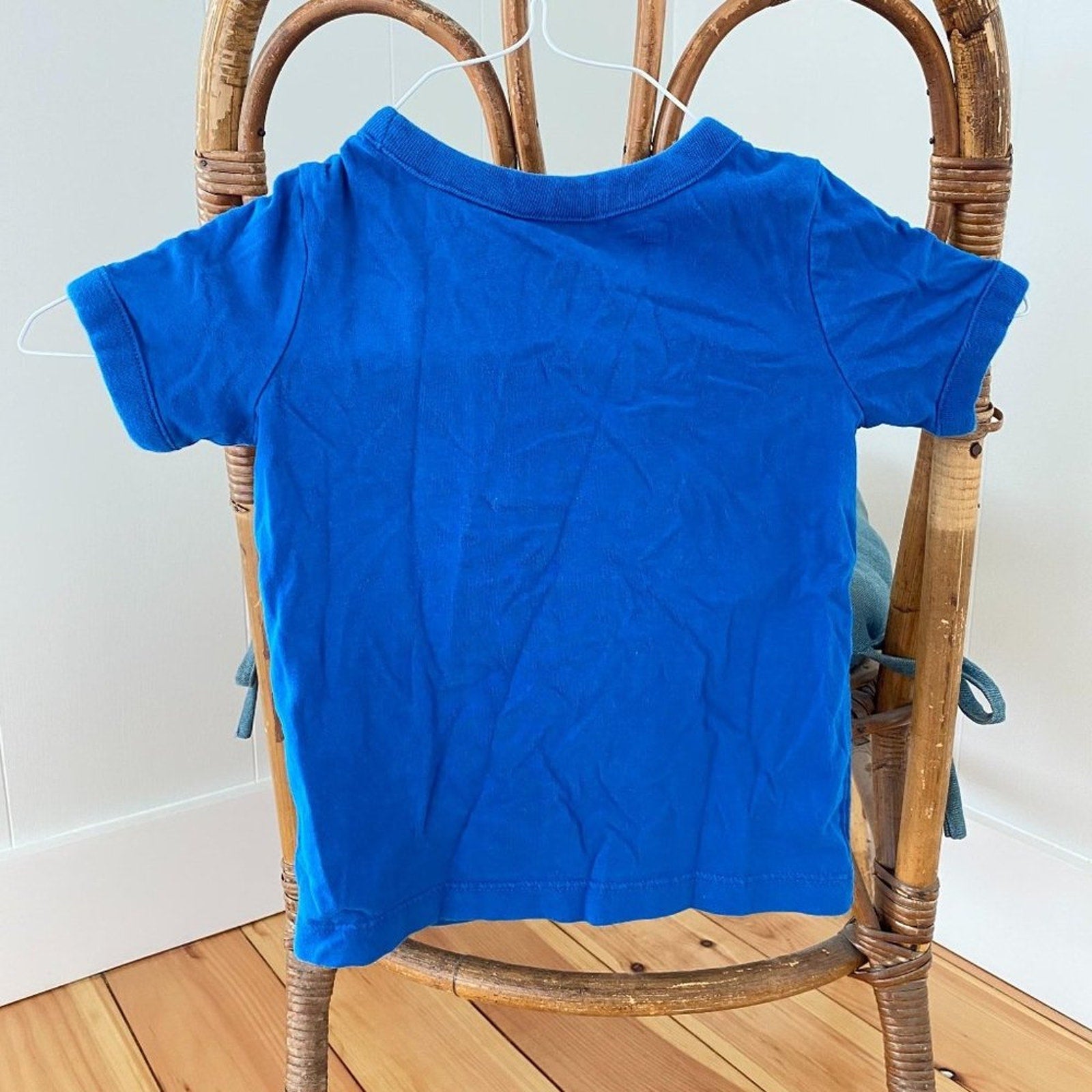 Hanna Andersson Boys Blue Lizard Tee 90 cm 3T