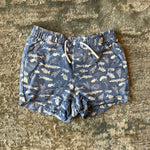 Load image into Gallery viewer, Janie and Jack Pull On Blue Ocean Shorts 12-18 Months
