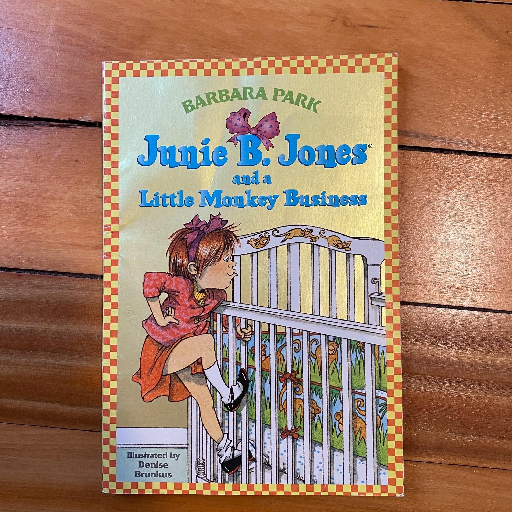 Junie B. Jones Chapter Book Lot #2