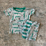 Load image into Gallery viewer, Carter&#39;s Alligator Pajama Set 2T
